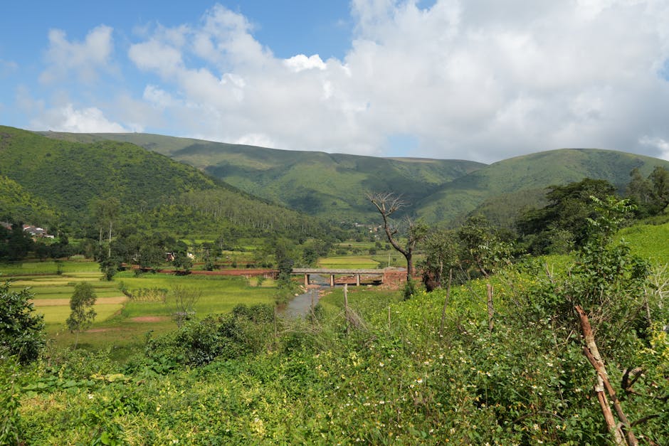 汽車保險那些事：你不知道的爆笑真相